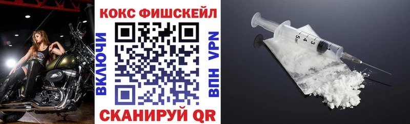 COCAIN Fish Scale  Купить закладки  Соликамск 