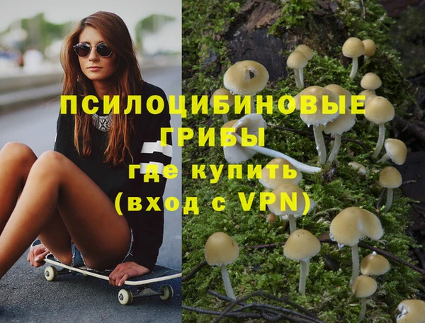 ГАЛЛЮЦИНОГЕННЫЕ ГРИБЫ Касимов