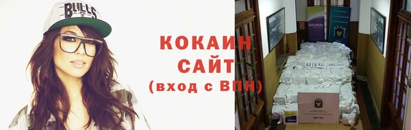 ГАЛЛЮЦИНОГЕННЫЕ ГРИБЫ Касимов