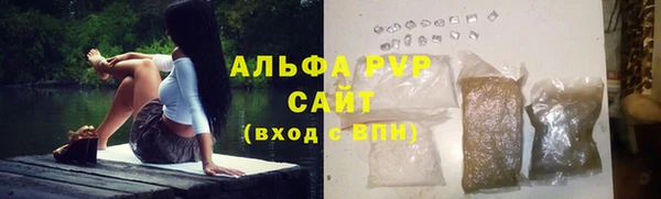 ГАЛЛЮЦИНОГЕННЫЕ ГРИБЫ Касимов