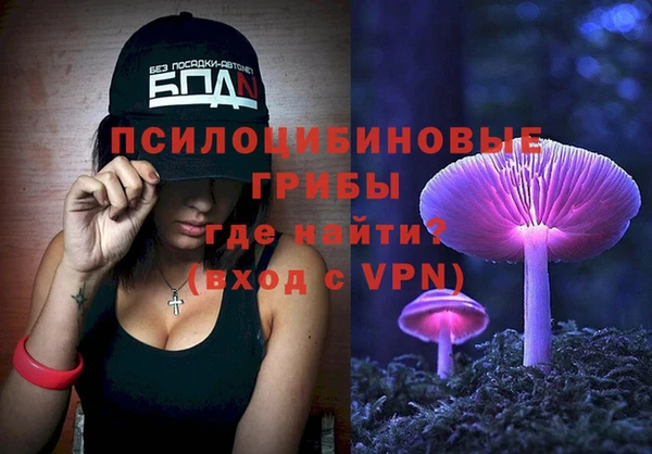 ГАЛЛЮЦИНОГЕННЫЕ ГРИБЫ Касимов
