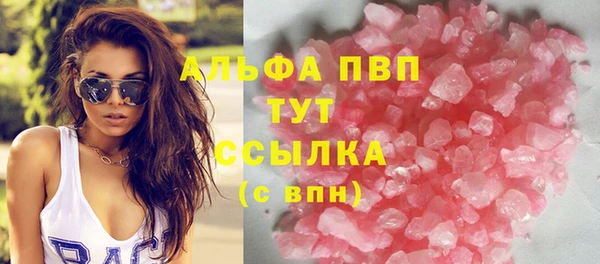 ГАЛЛЮЦИНОГЕННЫЕ ГРИБЫ Касимов